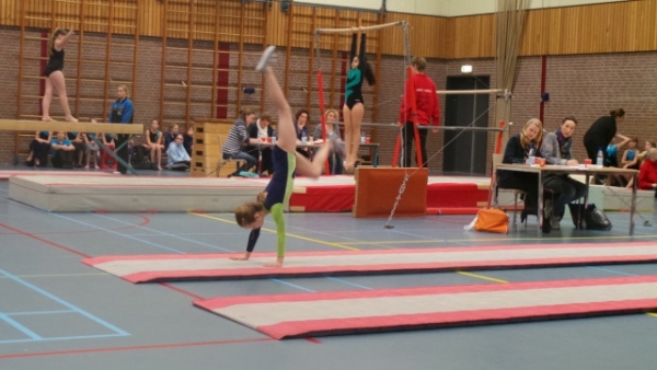 20150214_135938 (640x360).jpg