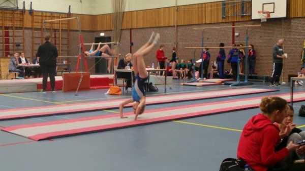 20150214_140129 (640x360).jpg