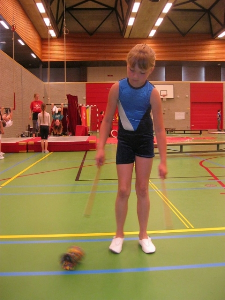 circusdag Gelre, 24 mei 2014 009.JPG